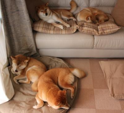 开云官方平台-当魔术遇上篮网，约基奇末节接管比赛的数学与美学